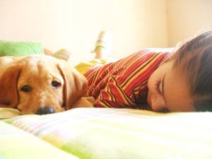 dog child