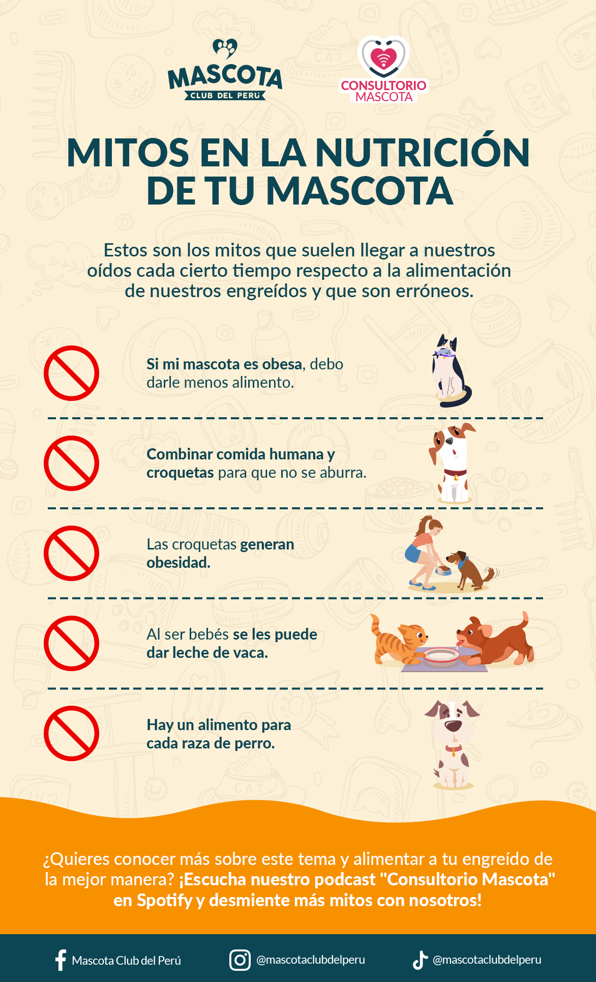 mitos en la nutricion de las mascotas