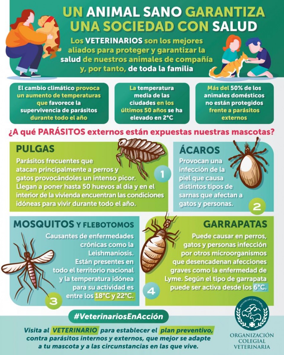 parasitos externos pulgas garrapatas y algo mas